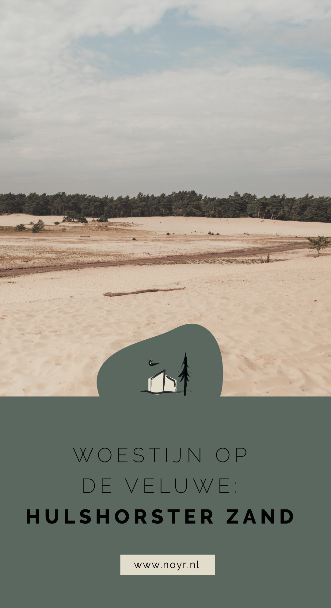 Hulshorster Zand | Woestijn | Zandverstuiving | Veluwe | Hulshorst